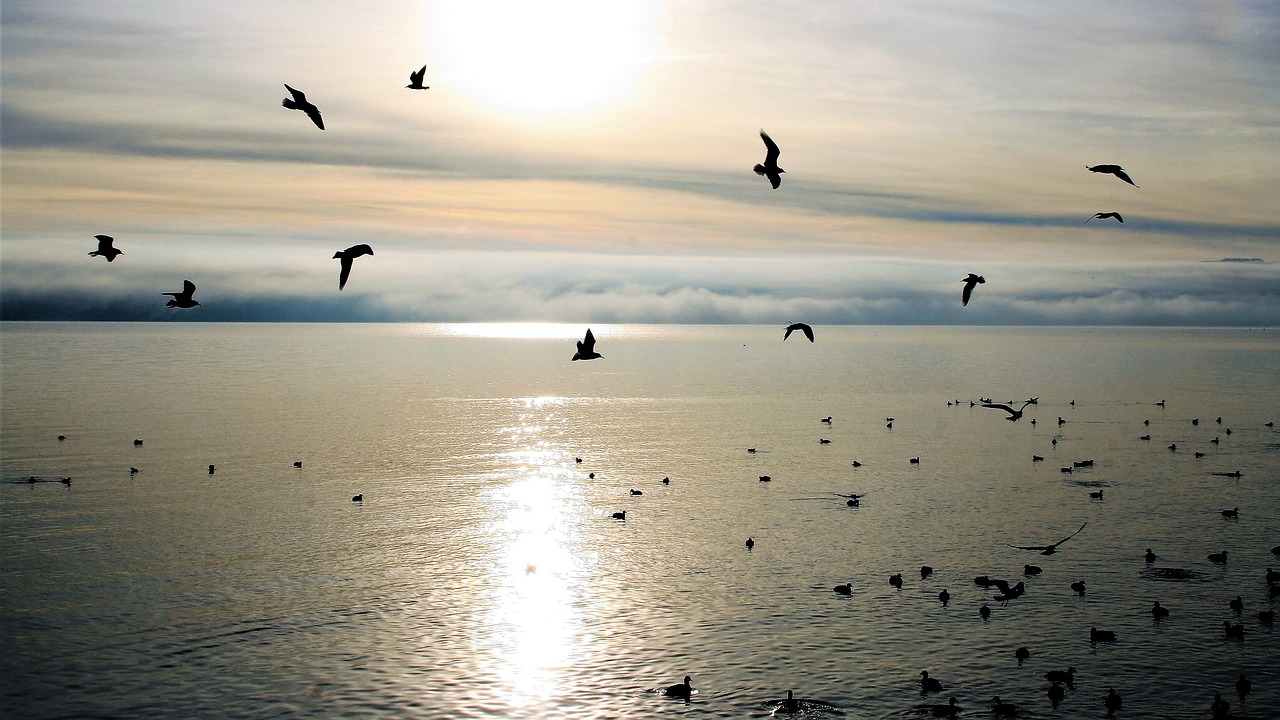 Living A Purposeful Life, Happiness As The Ultimate Purpose